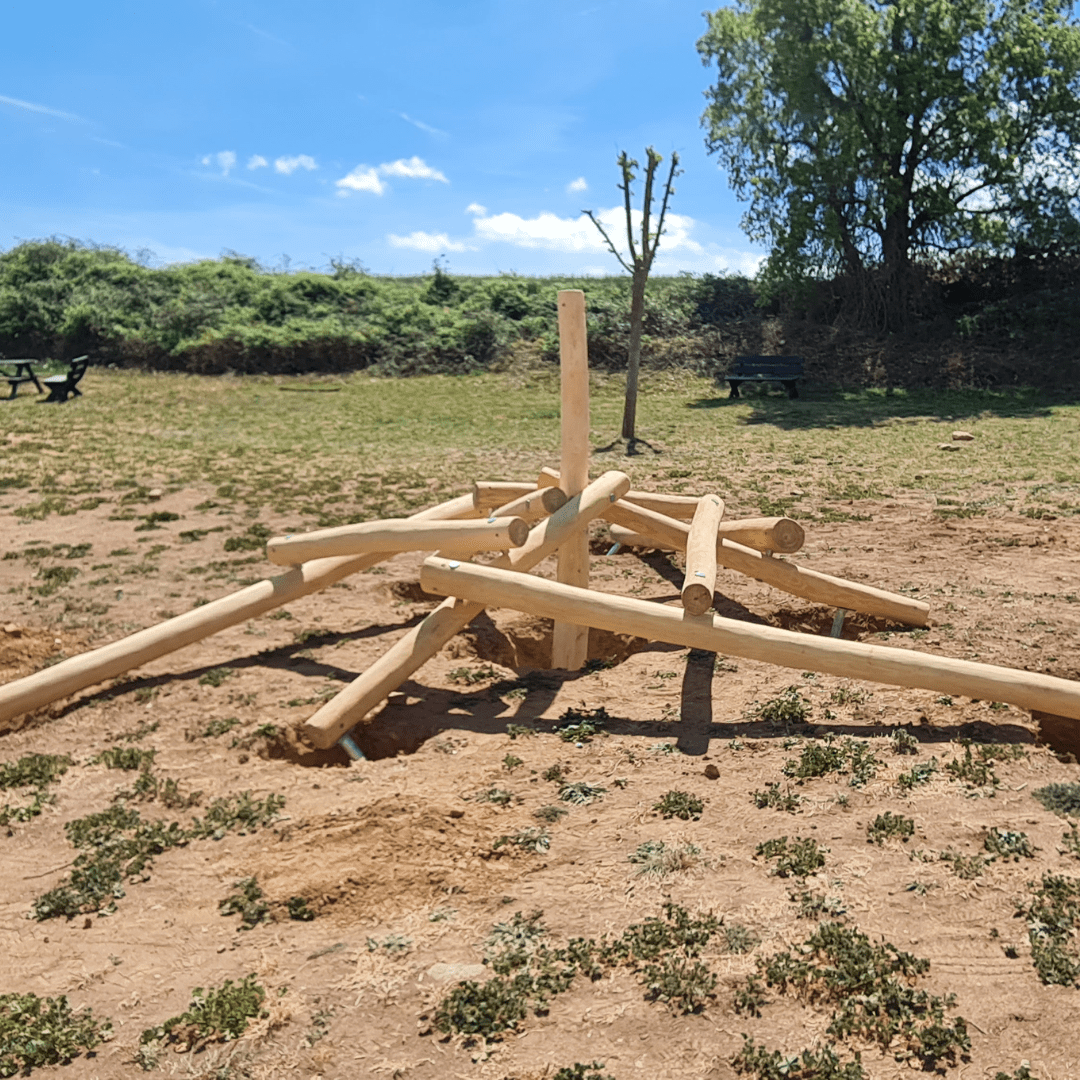 Estructura de Robinia